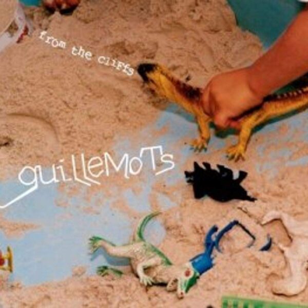 guillemots